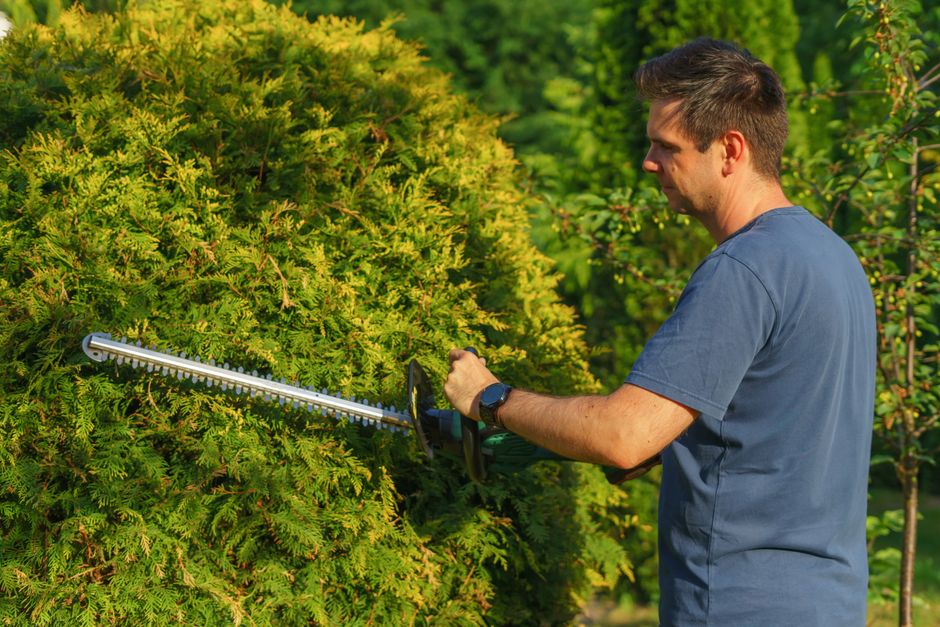 Landscaper working outdoors on property
