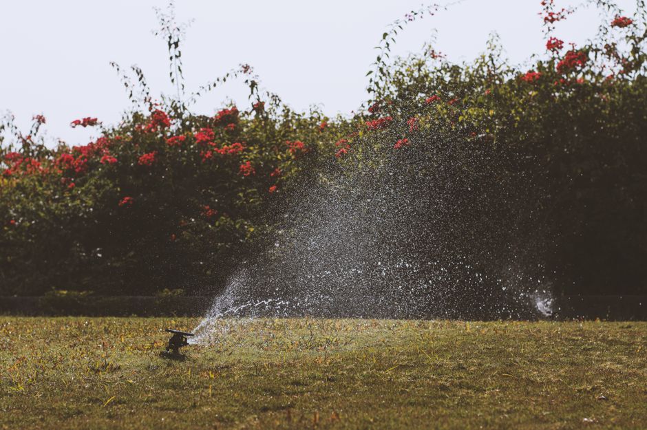 Tree service and irrigation management