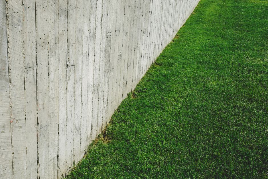 Beautiful green commercial lawn